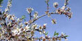 stiwebs