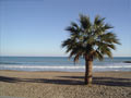 stiwebs