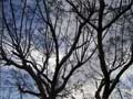 stiwebs