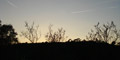 stiwebs